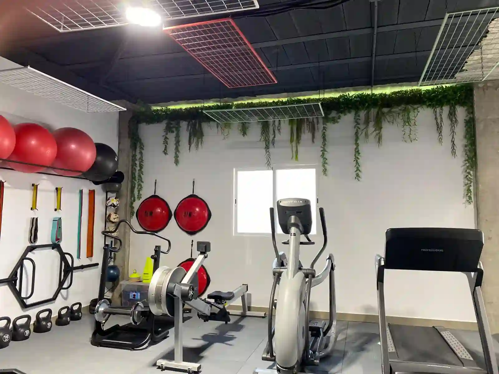 Consulta de Health and Motion